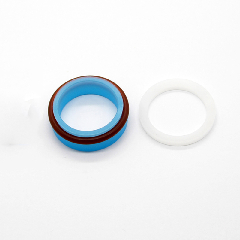 Static Seal Assembly Sealing Head 10110393