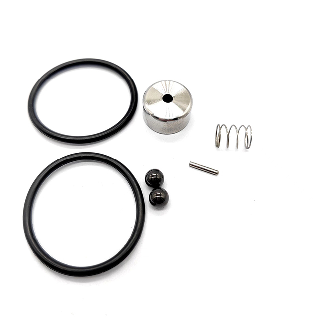 REPAIR KIT CHECK VALVE WS PUMP MINOR WS1021