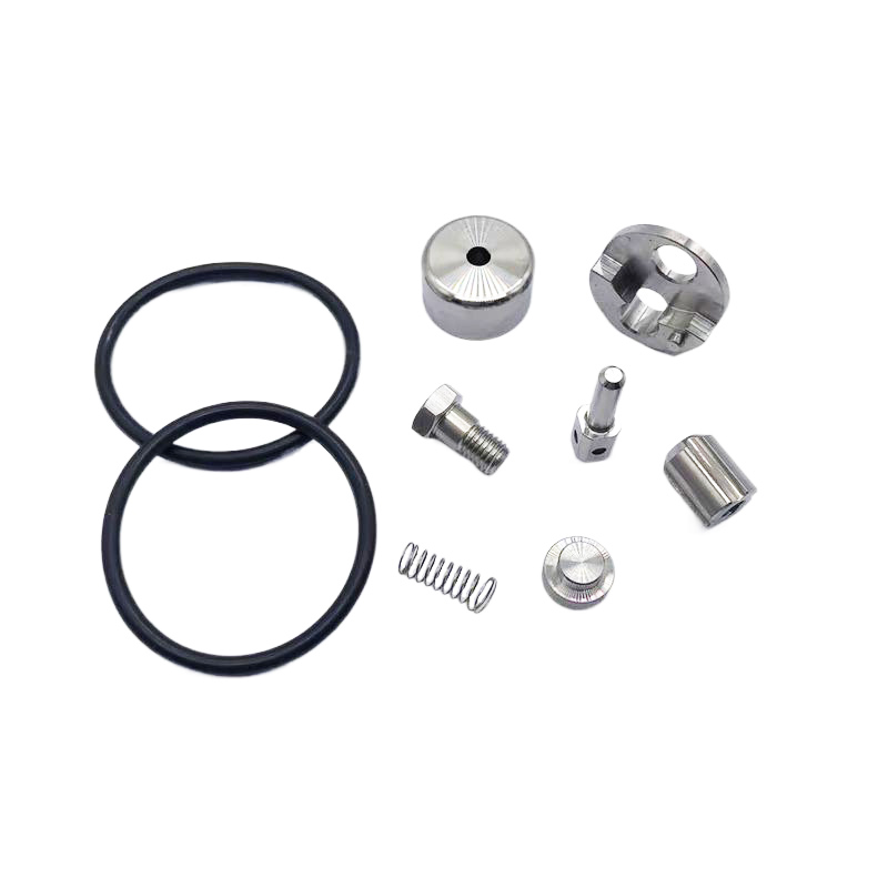 Check Valve Repair Kit 302003-2