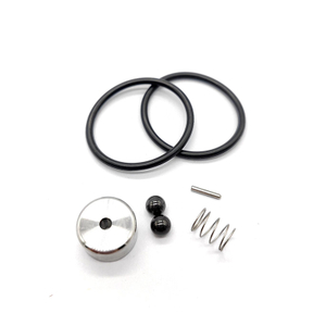 REPAIR KIT CHECK VALVE WS PUMP MINOR WS1021