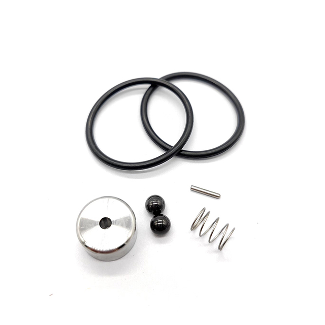 REPAIR KIT CHECK VALVE WS PUMP MINOR WS1021