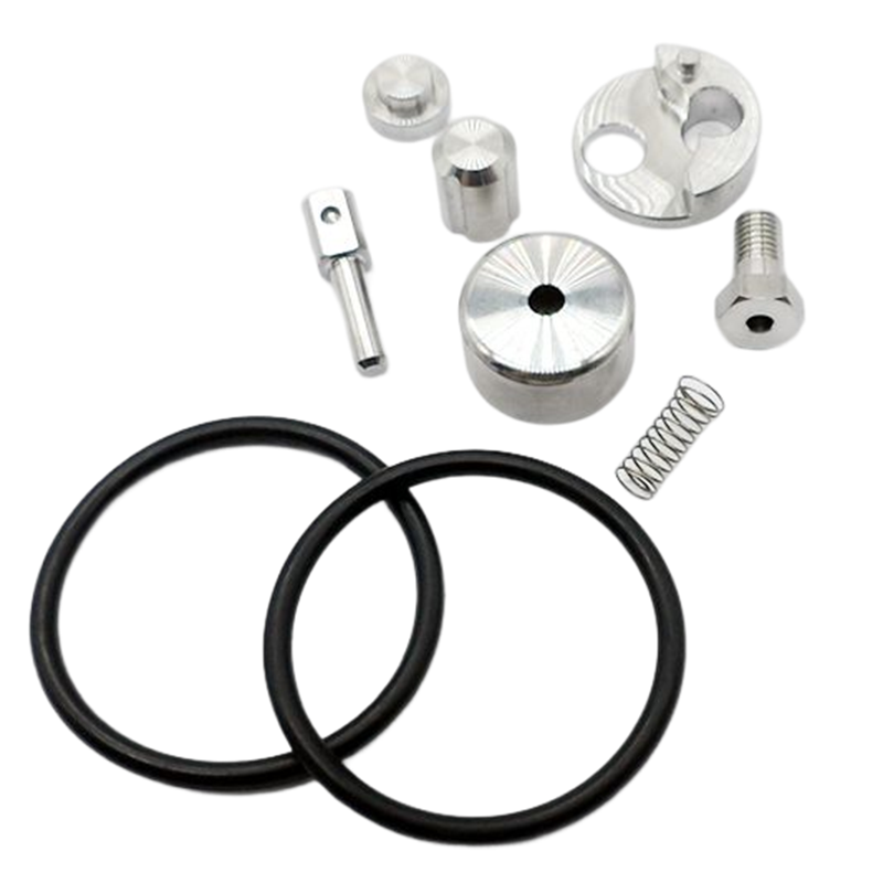 Check Valve Repair Kit 302003-1