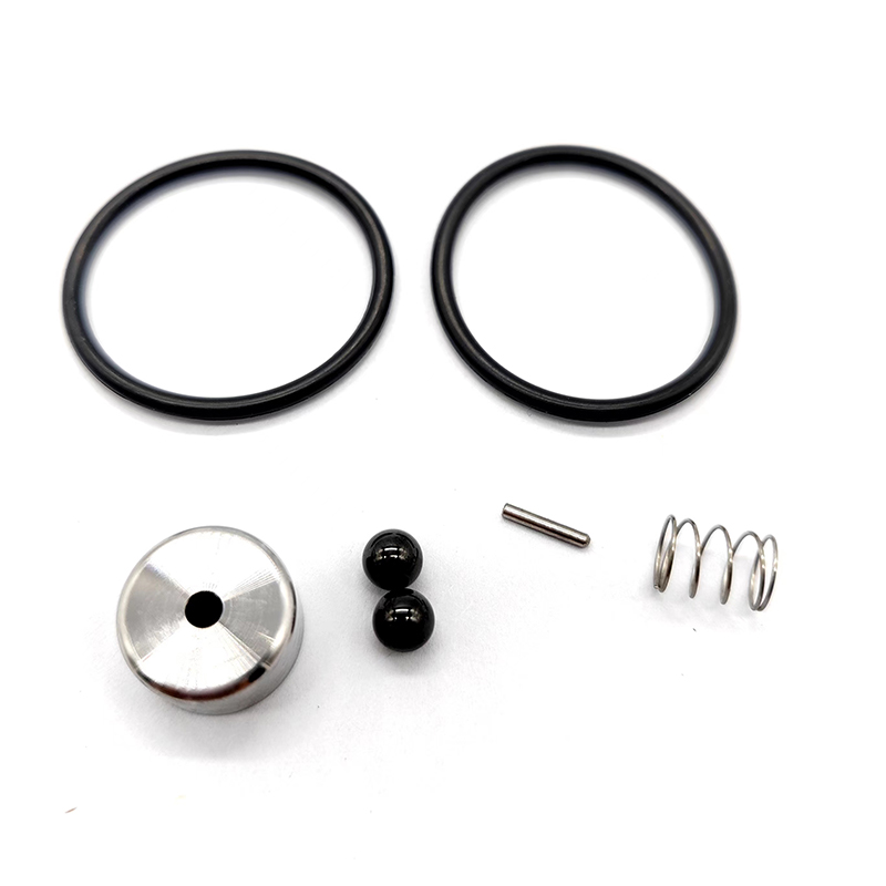REPAIR KIT CHECK VALVE WS PUMP MINOR WS1021
