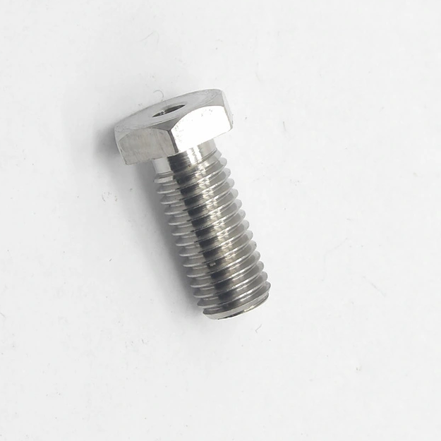 Hollow Screw 510000721