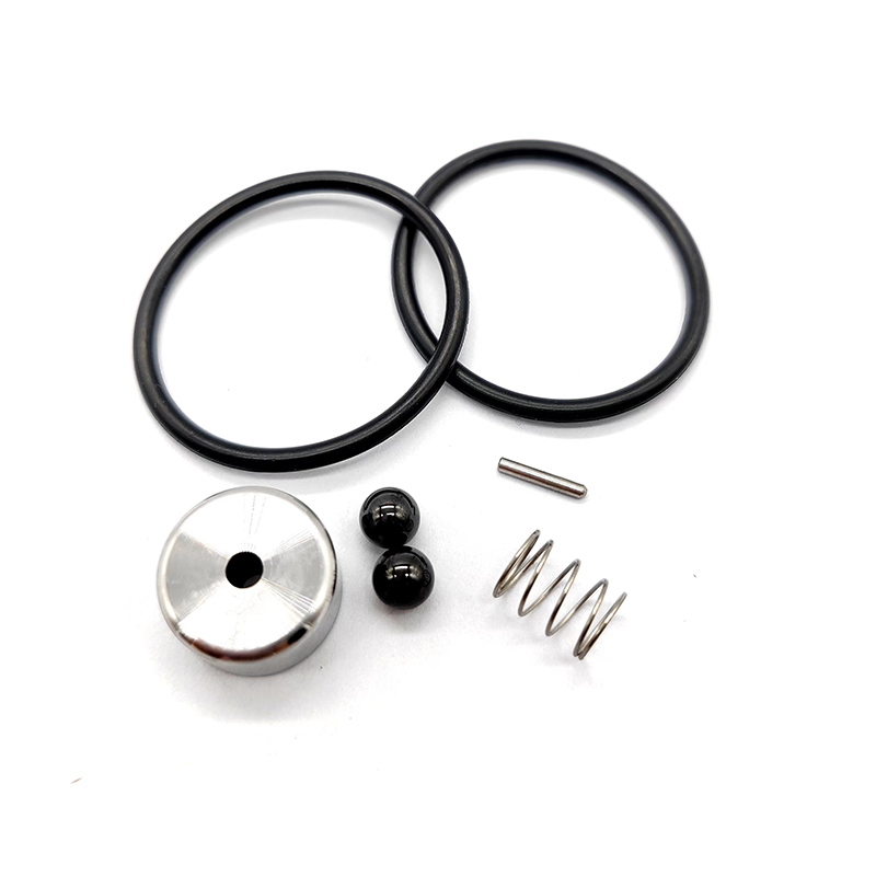 REPAIR KIT CHECK VALVE WS PUMP MINOR WS1021